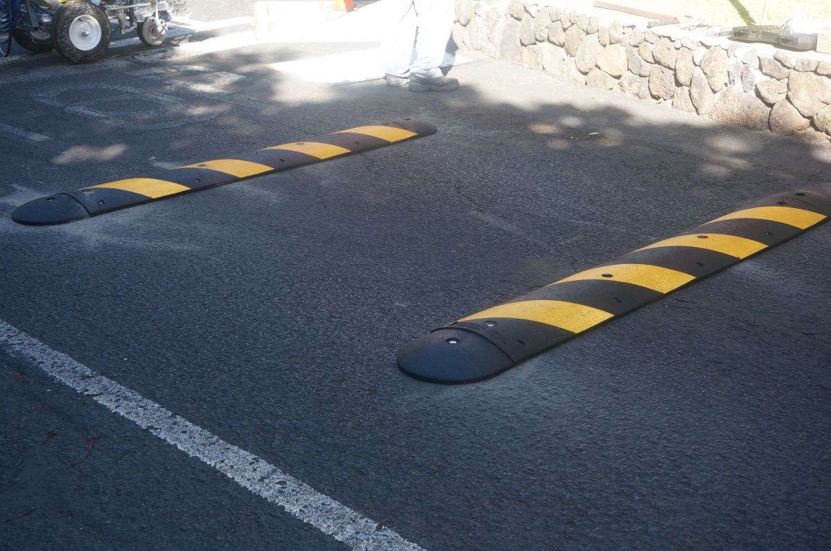 Two Recycled Rubber Speed Bumps